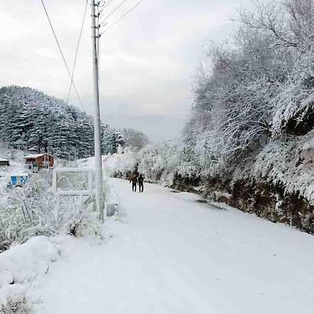 La Riqueza Dhanolti View # Near To Eco Park & Surkanda Devi Temple # Mountain View Rooms With Balcony # Big Parking # Customer Favourite Hotel Dhanaulti Exterior foto
