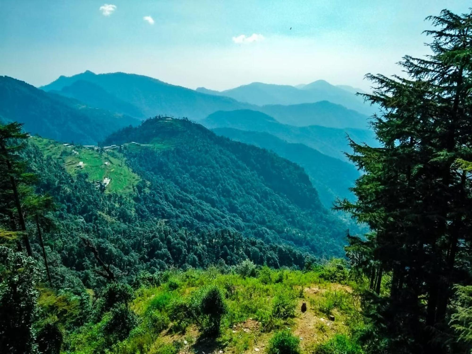 La Riqueza Dhanolti View # Near To Eco Park & Surkanda Devi Temple # Mountain View Rooms With Balcony # Big Parking # Customer Favourite Hotel Dhanaulti Exterior foto